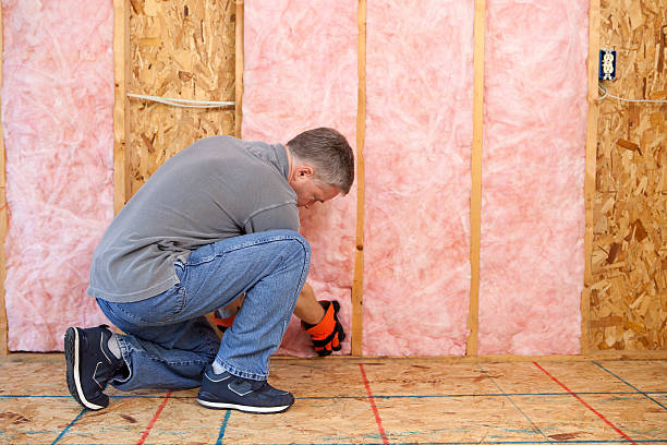 Best Basement Insulation  in Pimmit Hills, VA